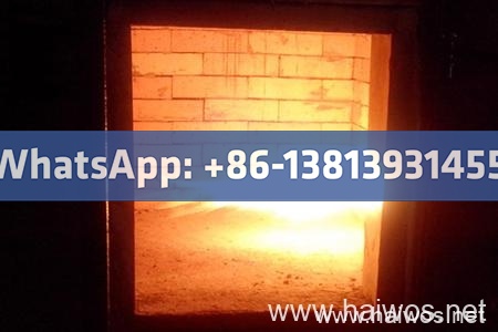 Waste Incineration Therapy Style TS75( PLC).