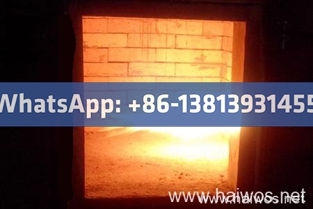 50-100-150-200 Kgs per Human Resources Strong Waste Heater Version TS150 PLC 1570Liters Chamber