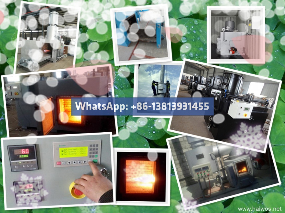 Containerized Mobile Incinerator Model CA50