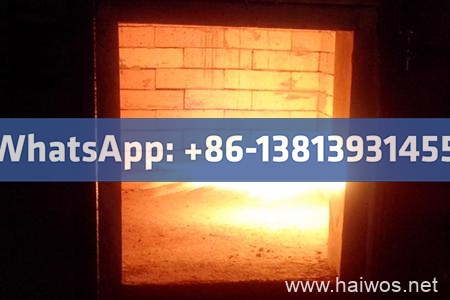 Waste Incineration Treatment Model TS75(PLC)