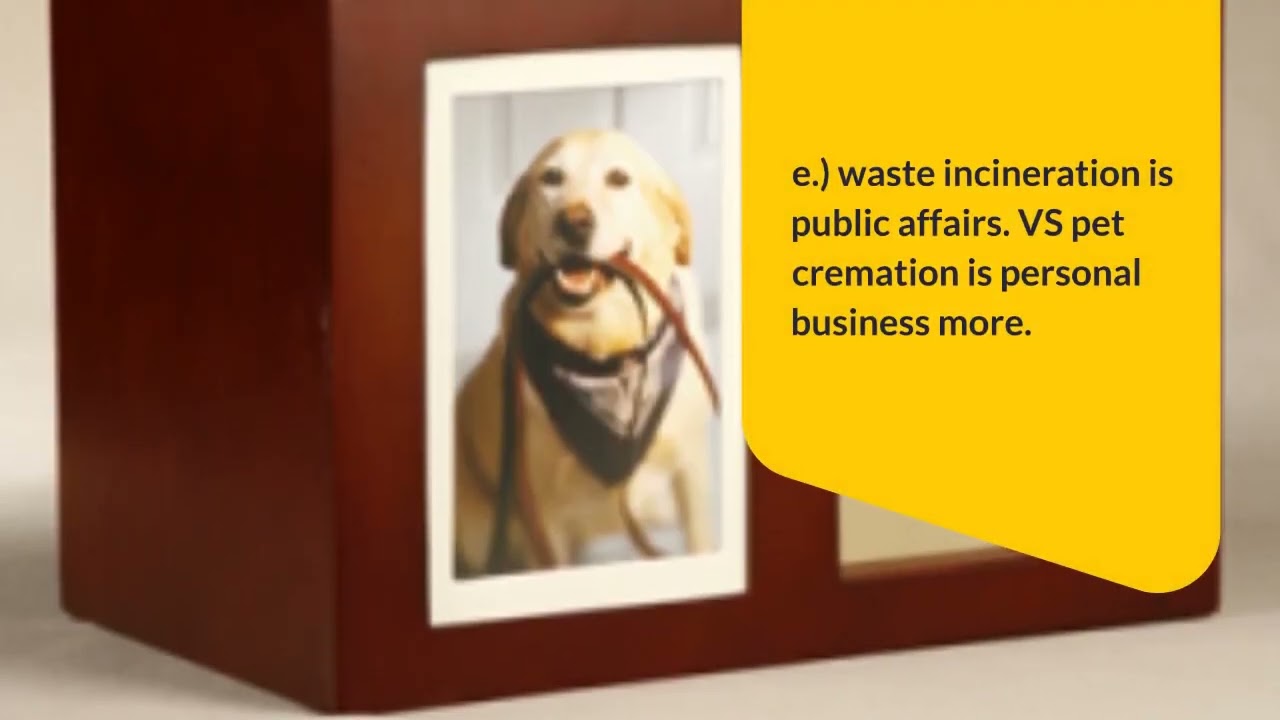 What’s pet cremation